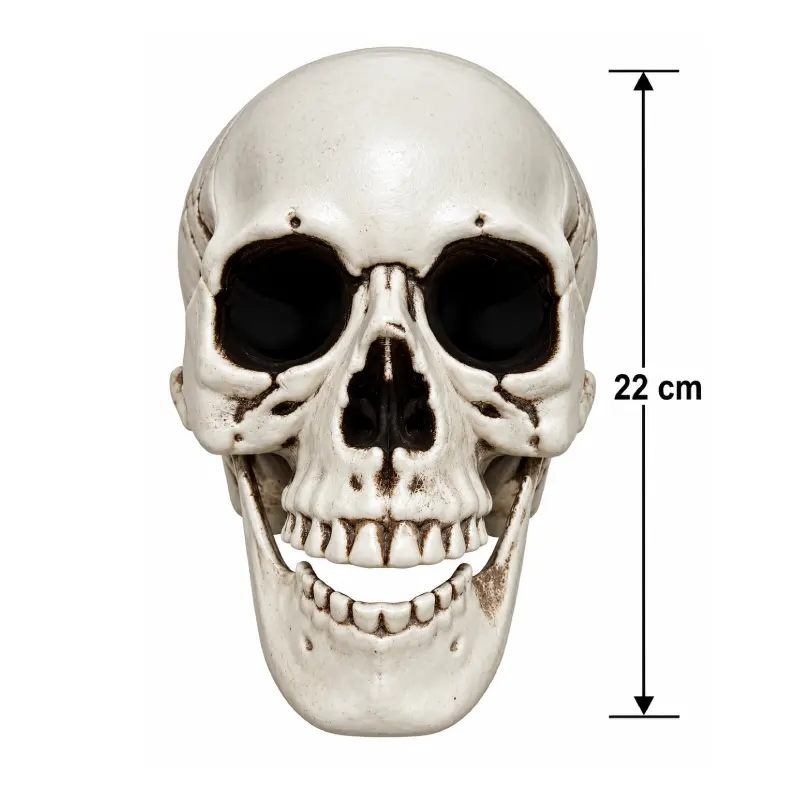 Halloween Plastic Skull Head