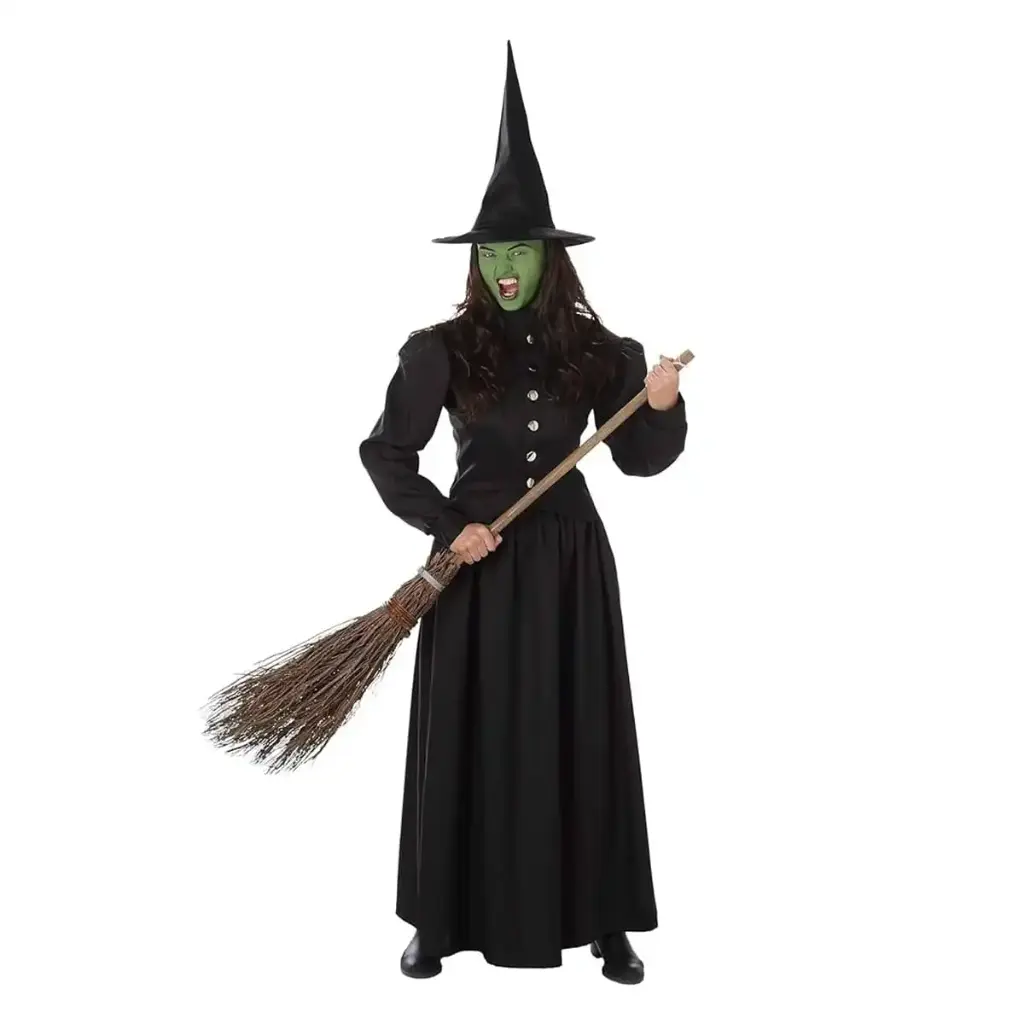 Wicked Witch Adult Costume