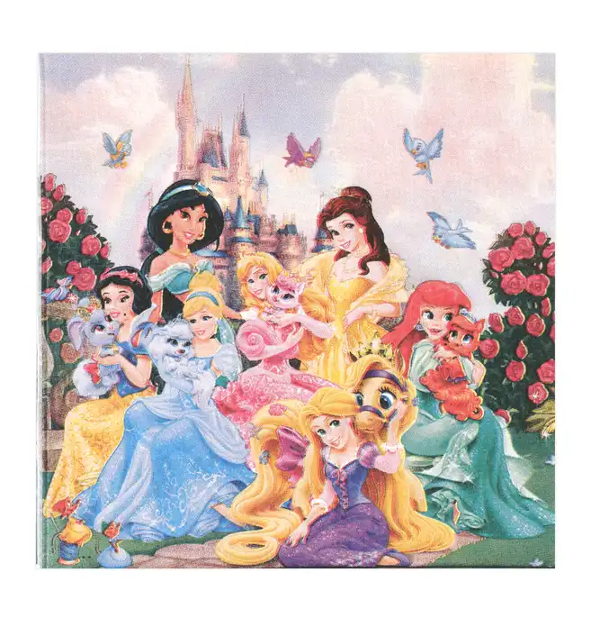 Disney Princess Party Paper Napkins – 20 Pcs