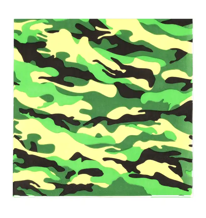 Camouflage Army Print Party Paper Napkins – 20 Pcs
