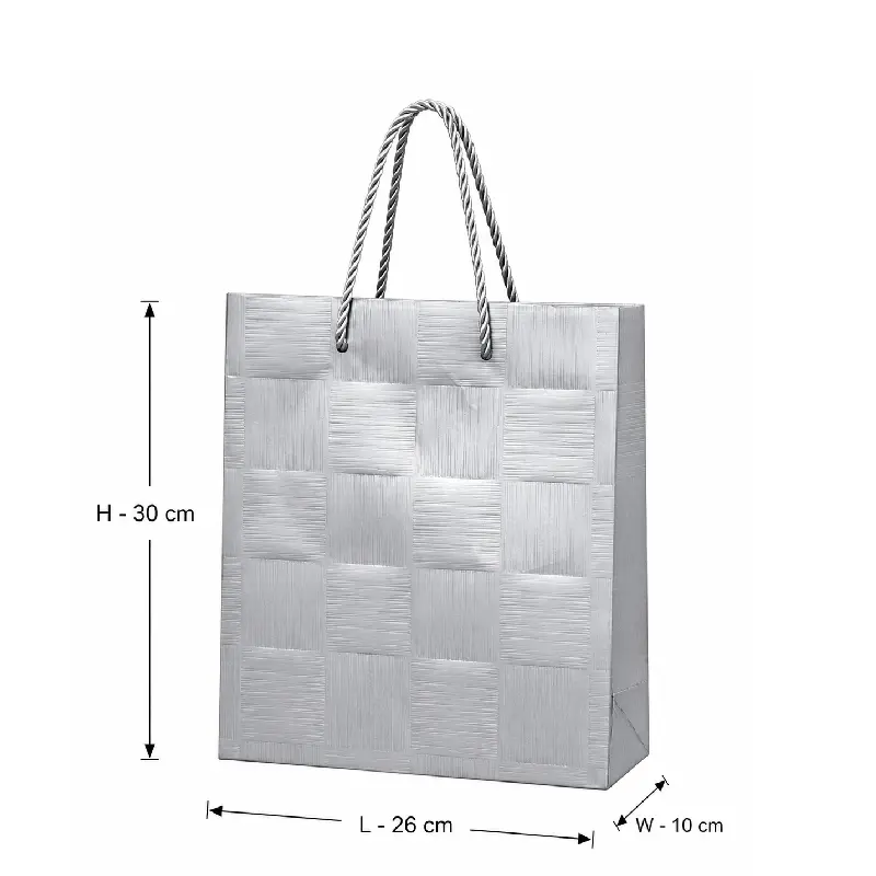Stylish Silver Textured Shopping Gift Bag - Medium – 26x10x30 cm