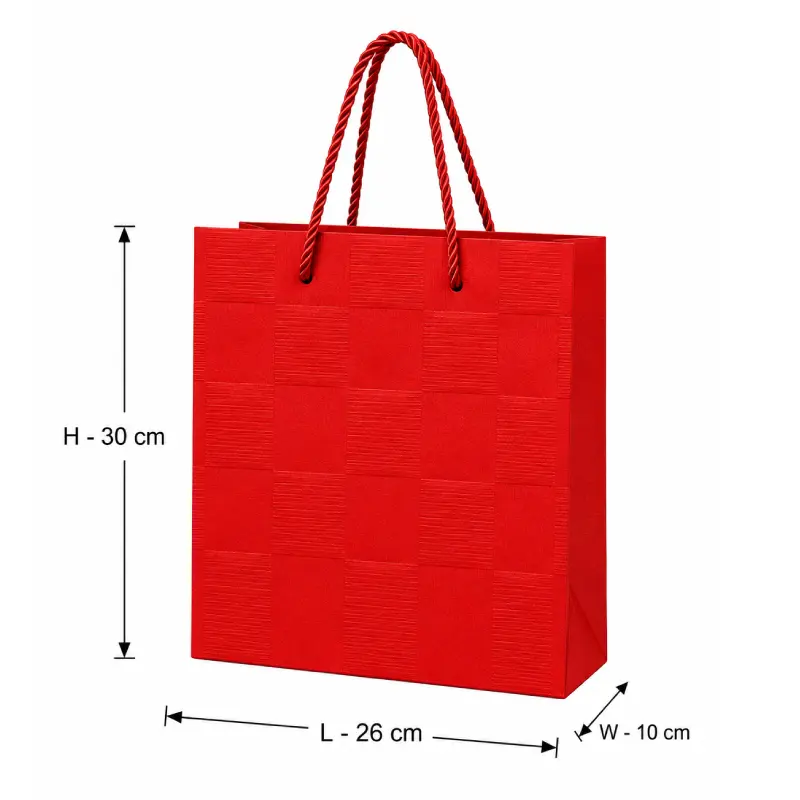 Premium Red Textured Gift Shopping Bag - Medium – 26x10x30 cm
