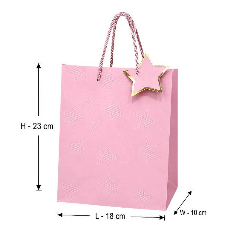 Pink Star Design Premium Paper Gift Bag - Small – 18x10x23 cm