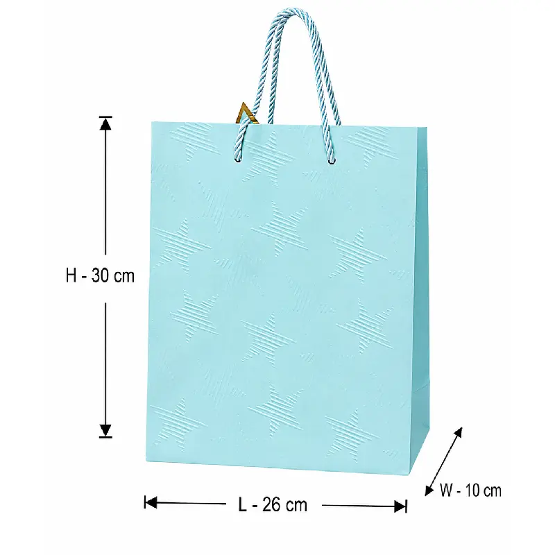 Blue Premium Star Design Gift Shopping Bag - Medium – 26x10x30 cm