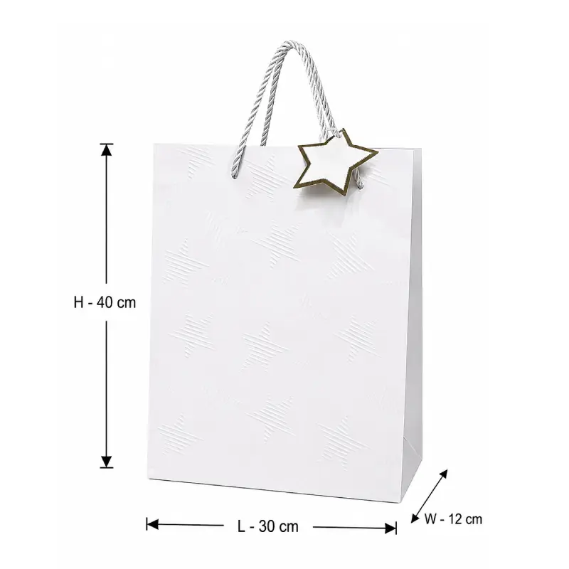 Silver Large Star Design Premium Gift Shopping Bag – 30x12x40 cm