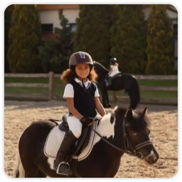 Pony Hire