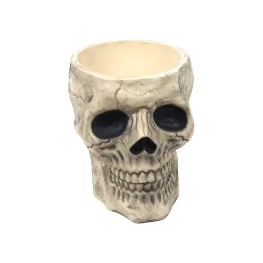 [25167] Skull Candy Bowl