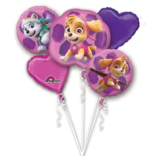 [3482801] Paw Patrol Skye & Everest Balloon Bouquet 5pcs