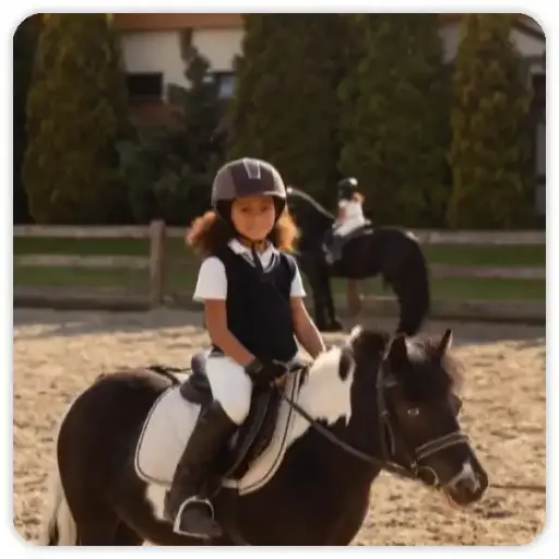 Pony Hire