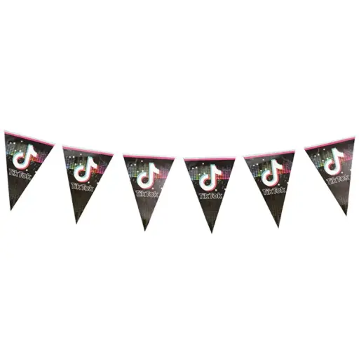 [56735] TikTok Banner – Triangle Flag Paper Banner
