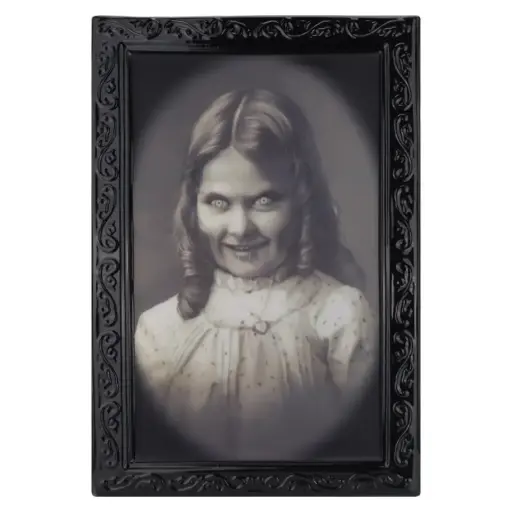 [00057383] 3d Haunted Face Changing Portrait 