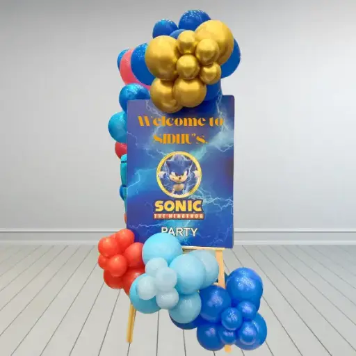 Sonic the Hedgehog Welcome Board Decoration