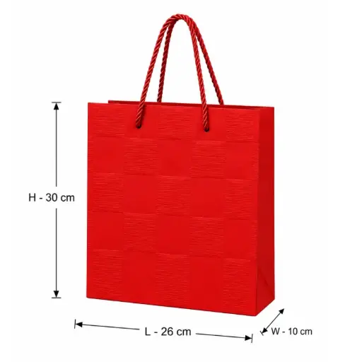 [00057757] Premium Red Textured Gift Shopping Bag - Medium – 26x10x30 cm