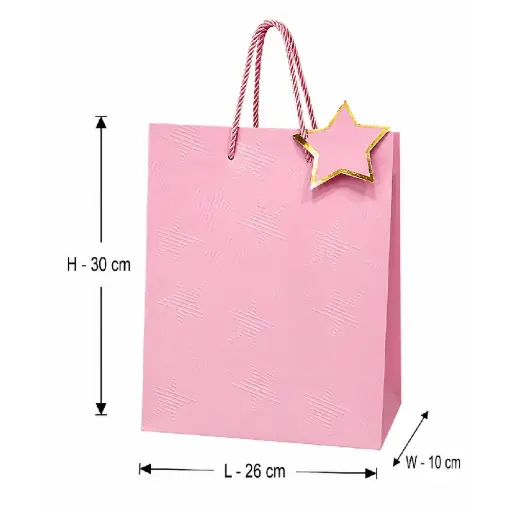 [00057779] Pink Luxury Star Pattern Paper Gift Bag - Medium – 26x10x30 cm