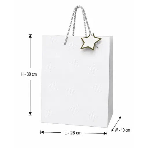 [00057781] White Embossed Star Pattern Gift Bag - Medium – 26x10x30 cm