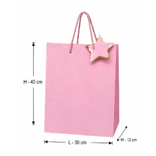 [00057787] Pink Large Embossed Paper Gift Bag – 30x12x40 cm