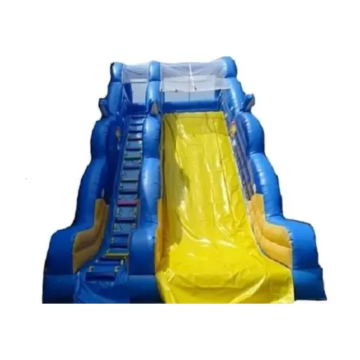 Dolphin Inflatable Water Slide – 13x5x7m