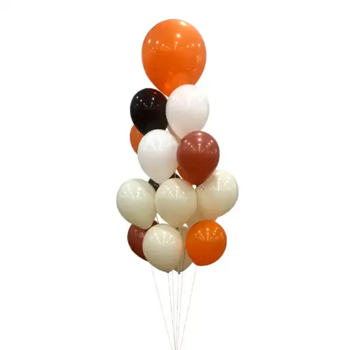 Autumn Theme Balloon Bouquet – Helium Pastel Latex Set for Fall Celebrations