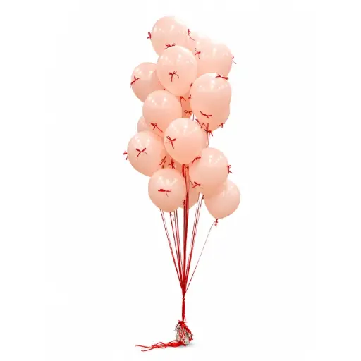 Pastel Pink Latex Balloon Bouquet with Ribbon motif Set